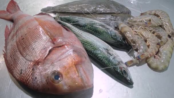 Meeresfrüchte Sortiment Auf Einem Metalltisch Dorade Makrele Garnelen Und Plattfisch — Stockvideo