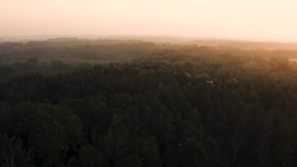 Vacker Morgon Flygbilder Över Ett Landsbygdslandskap — Stockvideo