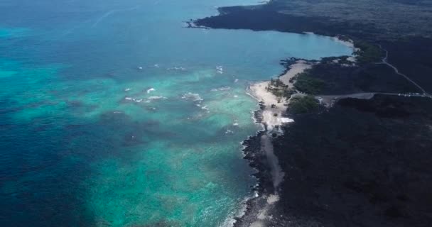 Die Große Insel Hawai Beherbergt Wunderschöne Kontraste Aus Schwarz Grün — Stockvideo