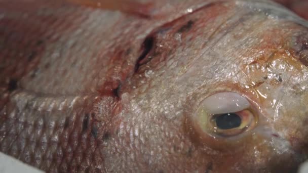 新鮮な赤黒スポット鯛の目と銀のスケール — ストック動画