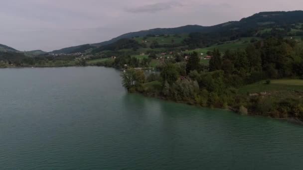 Volo Sopra Gli Alberi Rivelando Barche Lago Gruyre Svizzera — Video Stock