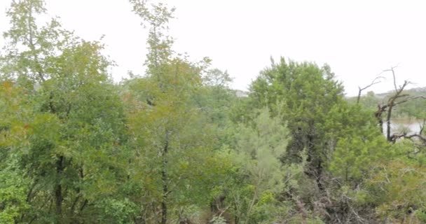 Überfluteter Park Nach Starkregen — Stockvideo