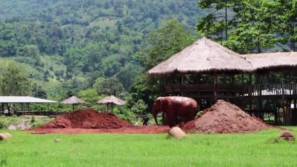 Éléphant Debout Entre Deux Tas Saleté Rouge Dans Champ — Video