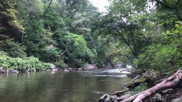 Plastikflasche Einem Fluss — Stockvideo