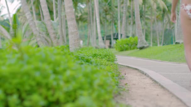 Férias Verão Feliz Mulher Asiática Coreana Andando Relaxante Resort Tropical — Vídeo de Stock