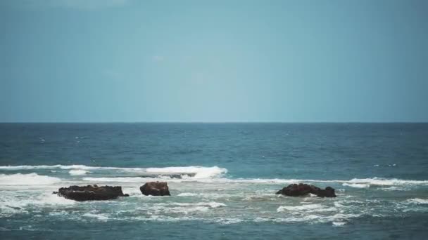 いくつかの岩でニュービー海岸の景色 — ストック動画