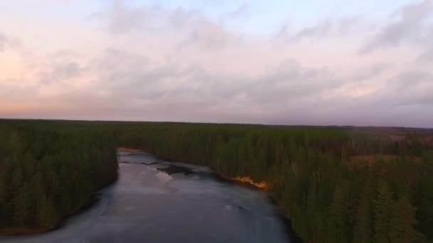 Drone Shot Του Ποταμού Forezen Στο Πράσινο Δάσος — Αρχείο Βίντεο