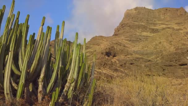 Scenic Footage Agate Wybrzeżu Grand Canaria Hiszpania — Wideo stockowe