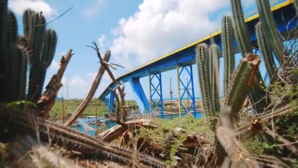 Curaao Nehir Boyunca Demirlemiş Gemilerle Dolu Mavi Bir Köprüyü Ortaya — Stok video