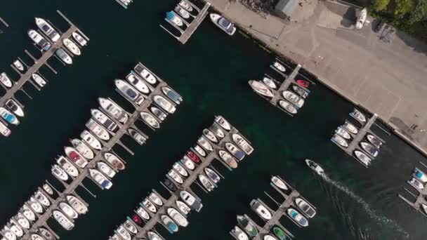 Légi Felvétel Kis Hajó Kikötőjéről Haugesundban Norvégiában — Stock videók