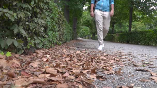 Torso Masculino Totalmente Enfocado Caminando Hacia Cámara Camino Con Follaje — Vídeos de Stock