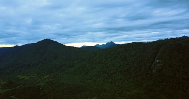 Skog Vid Soluppgången Puerto Montt Nationalpark — Stockvideo