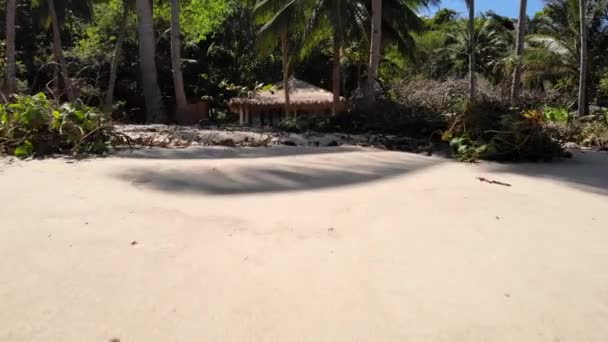 Flyover White Sand Beach Secluded Island Hut — Stock Video