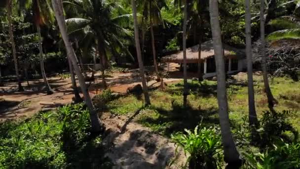 Légi Beach Front Villa Körülvéve Palm Trees — Stock videók