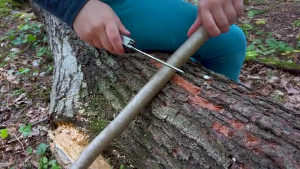 Manos Una Niña Niño Usando Cuchillo Suizo Aserrando Trozo Madera — Vídeos de Stock