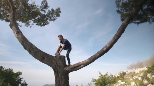 Een Knappe Gelukkige Jongeman Klimt Een Boomtak Wijst Naar Hemel — Stockvideo