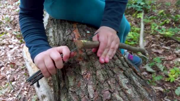 Руки Маленькой Девочки Мальчика Помощью Швейцарского Ножа Распиливая Кусок Дерева — стоковое видео