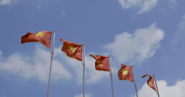 Video Nationella Flaggor Vietnam Med Flagga Kommunistpartiet Vietnam Eller Cpv — Stockvideo