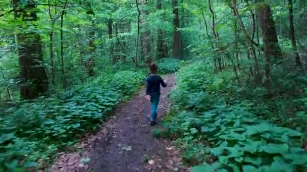 Dívka kráčí po pěšině, sama v temném, strašidelném lese