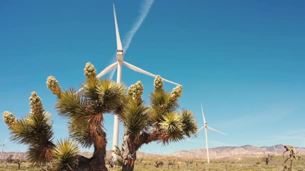 Joschua Baum Vor Dem Windkraftturm — Stockvideo