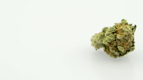 Rotazione 360 Gradi Del Ceppo Marijuana Wonder Women Singola Gemma — Video Stock