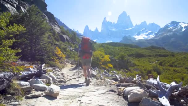 Giovane Donna Che Indossa Zaino Escursioni Sentiero Patagonia Argentina Trekking — Video Stock