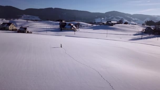 Jongeman Loopt Een Enorm Besneeuwd Veld Stopt Kijkt Rond Zwitserland — Stockvideo