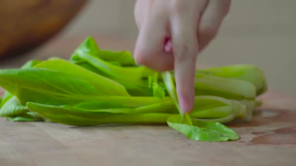 若い女の子の手の閉じると台所で野菜を食べるための緑を準備 — ストック動画