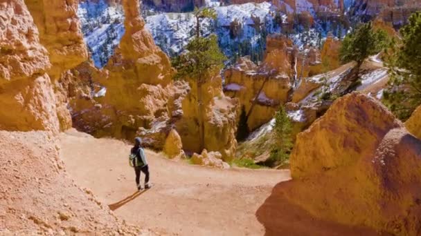 Dívka Žena Turistika Červenými Kameny Formace Sníh Blízkosti Bryce Canyon — Stock video