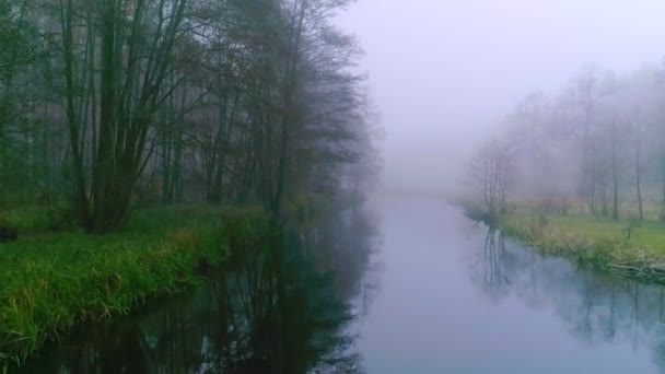 Plavba Temné Zamlžené Řece Uprostřed Lesa — Stock video