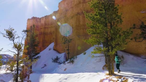 Dívka Žena Turistika Červenými Kameny Formace Sníh Blízkosti Bryce Canyon — Stock video