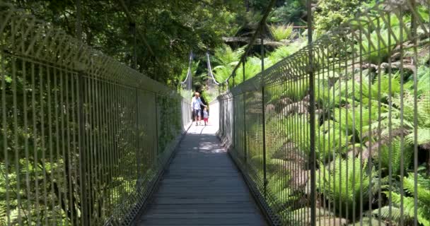 Padre Hijo Caminan Hacia Cámara Puente Colgante Bosque Lluvioso — Vídeos de Stock