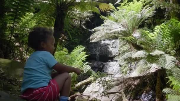 Niño Pequeño Sienta Una Cornisa Bosque Lluvioso Mirando Una Pequeña — Vídeos de Stock