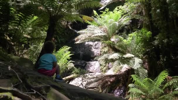 Wide Shot Young Child Looking Awe Forest Waterfall — Stock Video