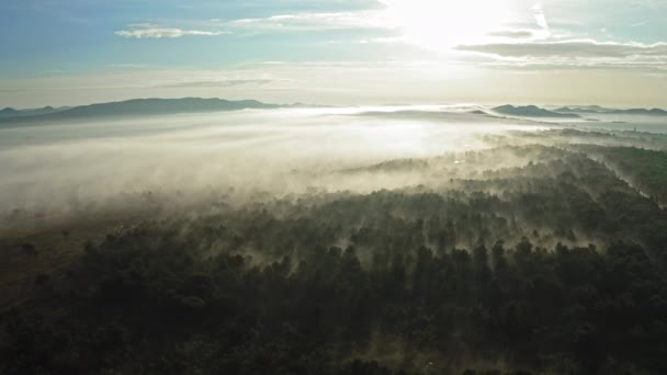 Чудовий Туманний Краєвид Світанку Задар Хорватії Подорож Повітря — стокове відео