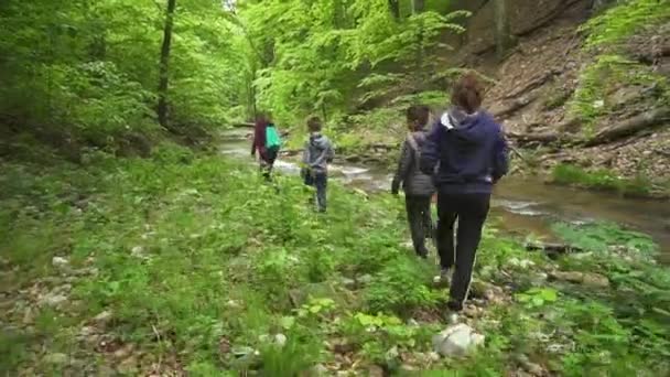 Four Young Siblings Walking Next Stream Forest Wide Tracking — Stock Video