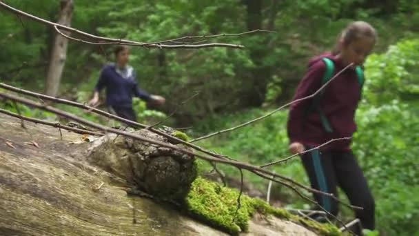 Duas Irmãs Caminhar Pela Ravina Floresta Rack Foco Câmera Lenta — Vídeo de Stock