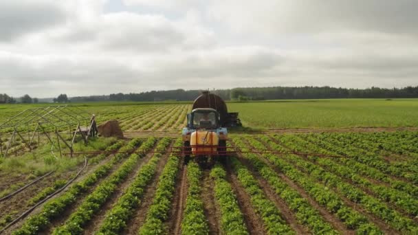 Disparo Aéreo Siguiendo Por Espalda Tractor Rociando Campo Fresas Contra — Vídeos de Stock