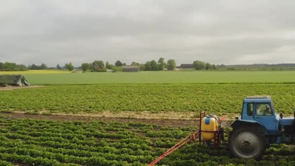 Cirkelschot Vanuit Lucht Het Sproeien Van Aardbeienveld Door Een Trekker — Stockvideo