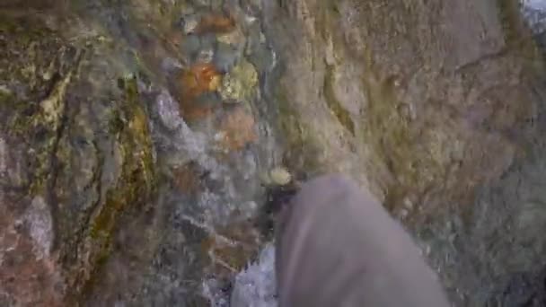 Walking Creek While Fishing Little Mountain Stream Waders Swiss Alps — Stock video