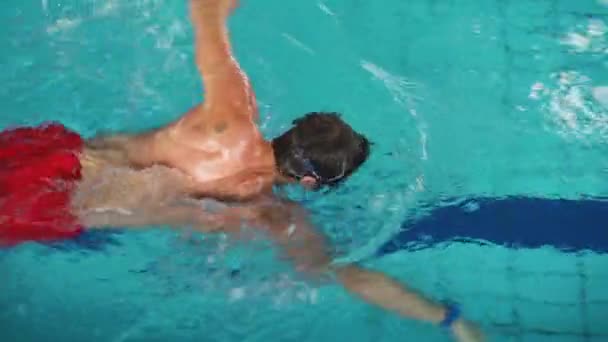 Homem Caucasiano Nadando Piscina Usando Técnica Freestyle — Vídeo de Stock