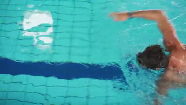 Homem Caucasiano Nadando Piscina Usando Técnica Freestyle — Vídeo de Stock