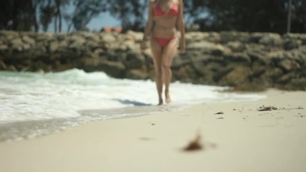Mulher Biquíni Vermelho Andando Longo Uma Praia Austrália — Vídeo de Stock