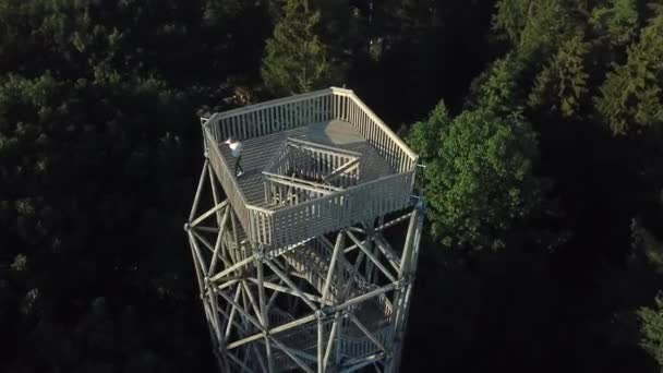 在Berg Bos的无人机视图中 一对夫妇爬到木制观景台顶部 — 图库视频影像