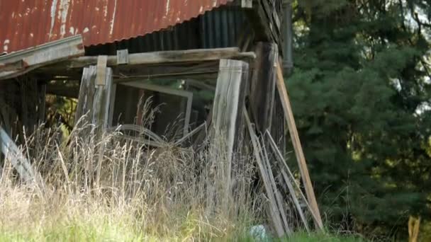 Mittlere Aufnahme Eines Baufälligen Hölzernen Bauernschuppens Der Nach Oben Kippt — Stockvideo