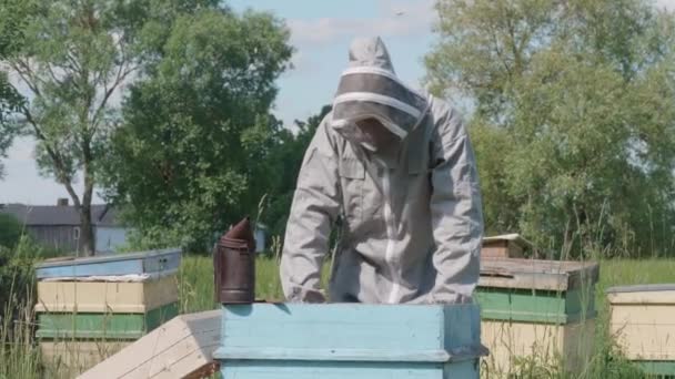 Muž včelař vytahuje včelí hřeben z úlu a kontroluje