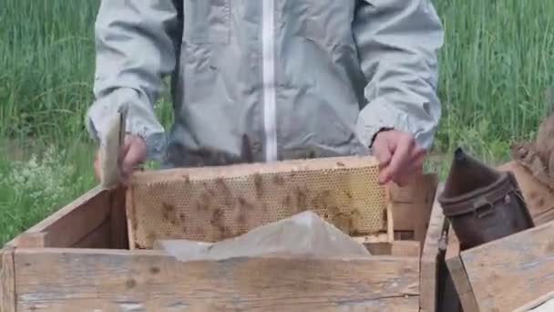 Imker Kontrolliert Bienenwaben Und Bürstet Bienen — Stockvideo