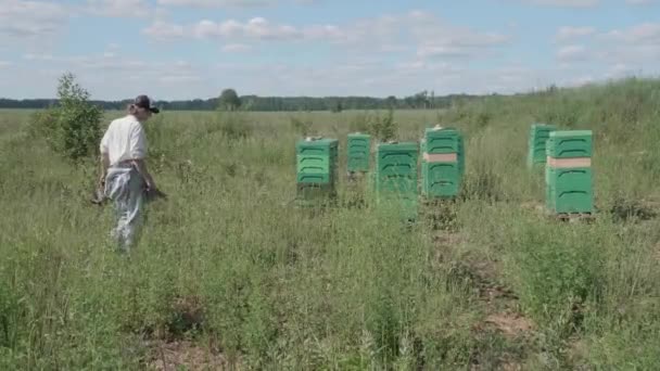 Apiculteur Marche Travers Une Prairie Une Ruche Moderne — Video