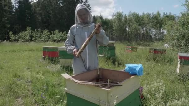 Erkek Arı Yetiştiricisi Bal Peteğini Kontrol Edip Kovanına Geri Koyuyor — Stok video