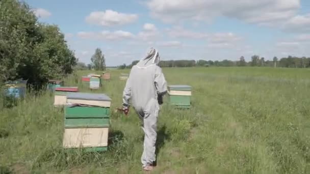 Biodlaren Går Genom Äng Till Bikupa Och Lyfter Taket — Stockvideo